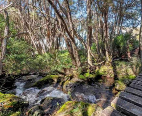 Snowcreek Thredbo 2